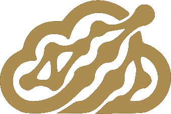 Myelin Cloud